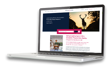 Web site design icon 2