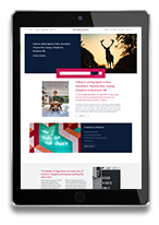 Web site design icon 3